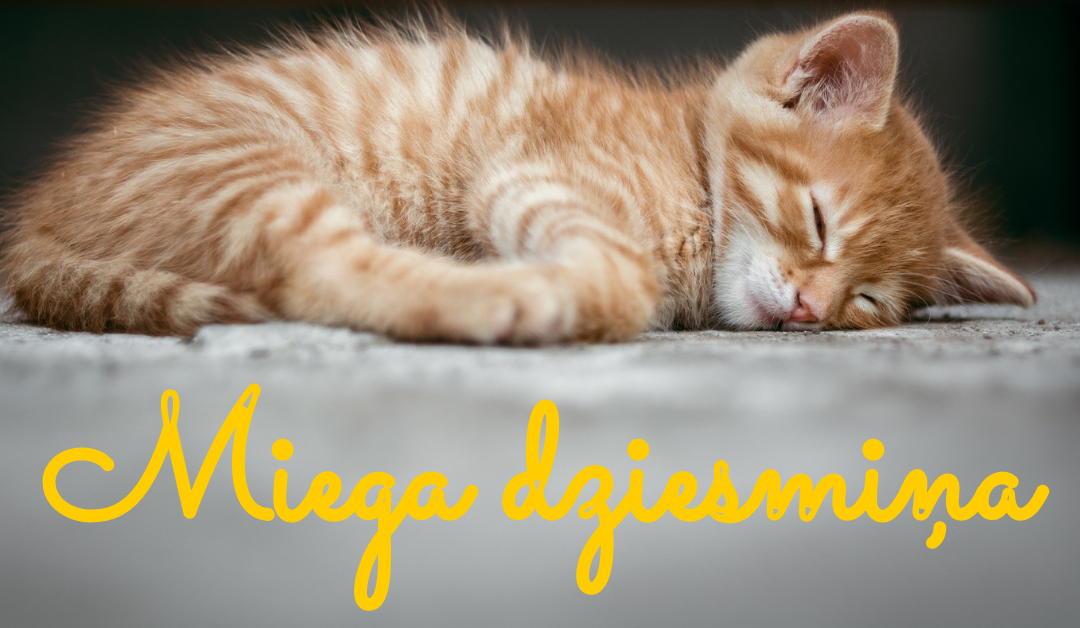 Miega dziesmiņa