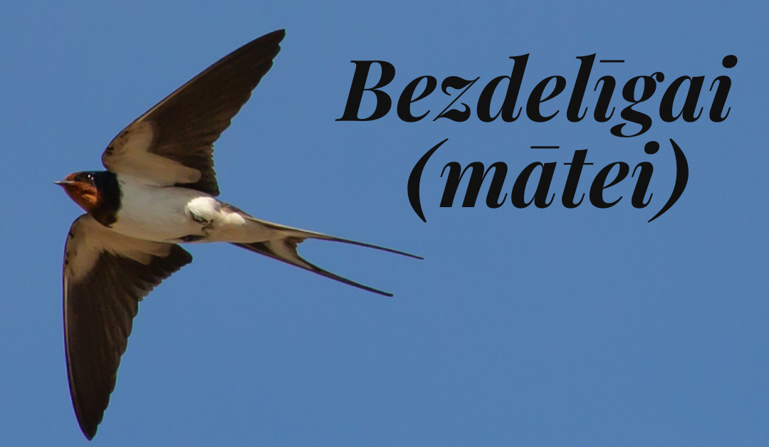 Bezdelīgai (mātei)